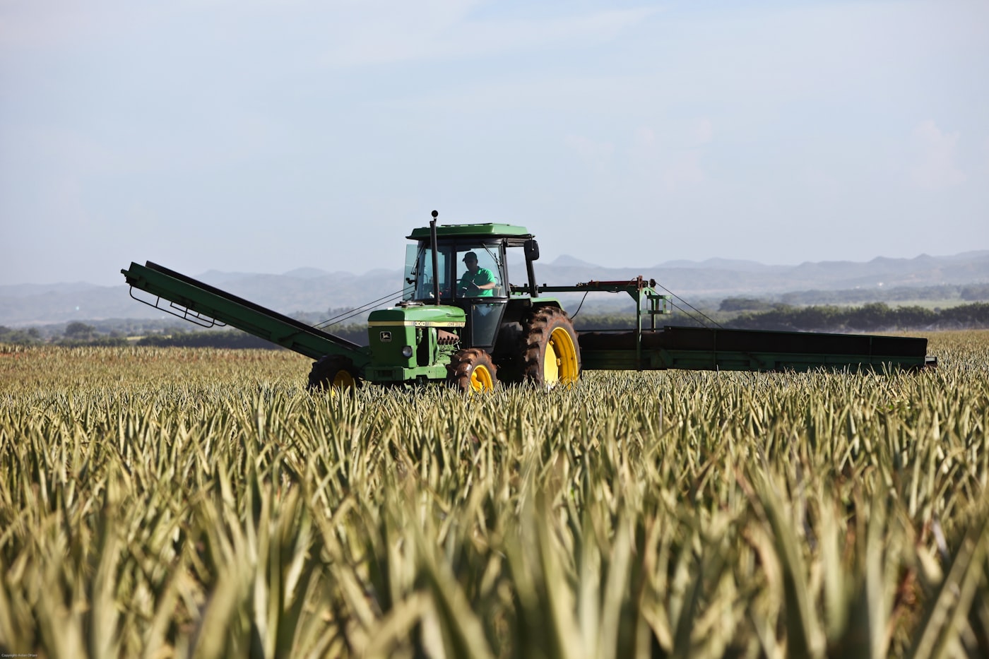 Tractor in a field